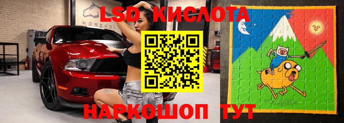 Кимры  Alpha-PVP СК кристаллы  Гашиш  Купить закладку  Мефедрон  Вход с VPN  Бошки Шишки  МЕФ  
