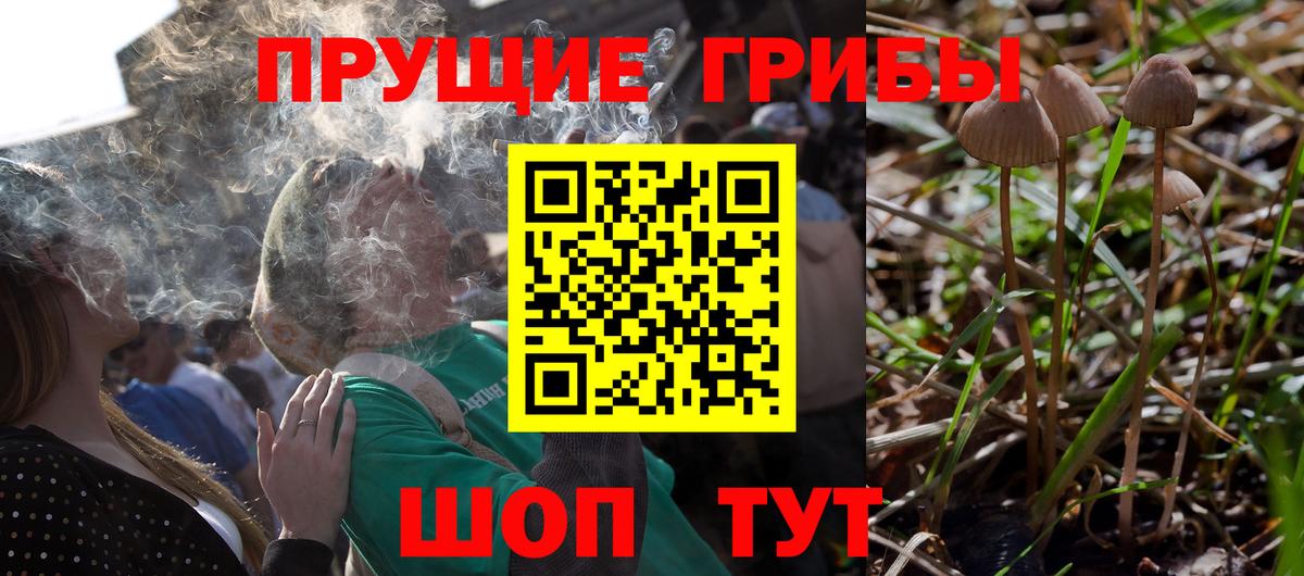 Кимры  Галлюциногенные грибы мухоморы  Вход с VPN 