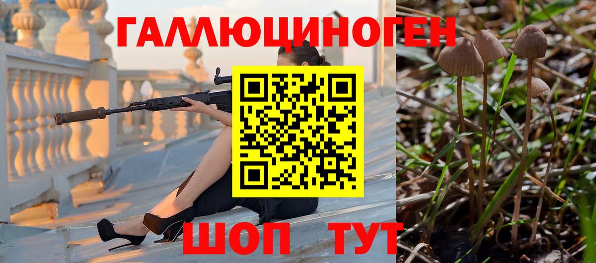 Галлюциногенные грибы Psilocybine cubensis Кимры